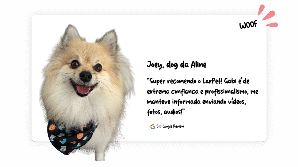 joey (1)