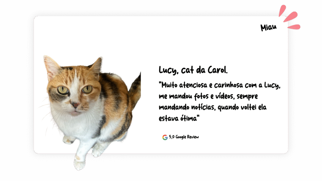 lucy